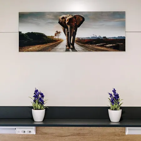 Glamping Lucky House