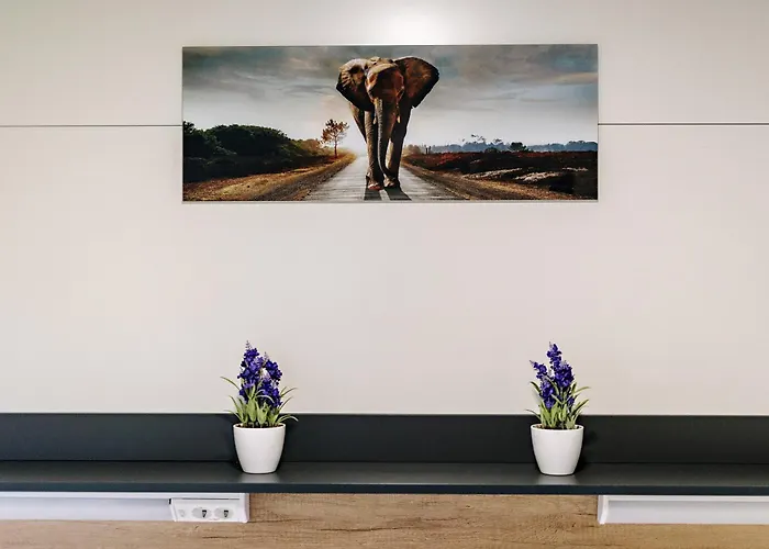 Glamping Lucky House